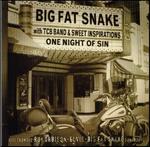 Big Fat Snake - One Night Of Sin