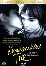 Kundskabens Træ [DVD] 